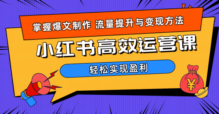 价值980小红书运营操作指南副业网-副业赚钱-互联网创业-资源整合99副业网