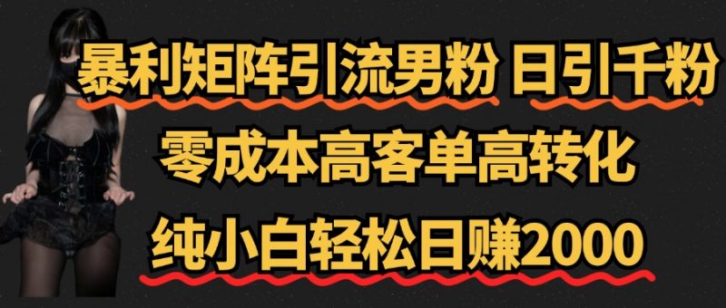 暴利矩阵引流男粉（日引千粉），零成本高客单高转化，纯小白轻松日赚2000+副业网-副业赚钱-互联网创业-资源整合99副业网