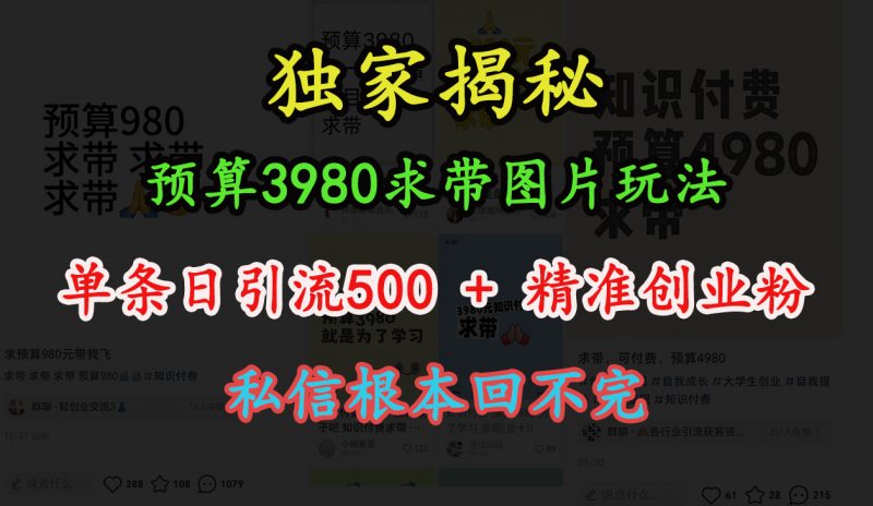 “小红书”预算3980求带 图片玩法，单条日引流500+精准创业粉，私信根本回不完副业网-副业赚钱-互联网创业-资源整合99副业网