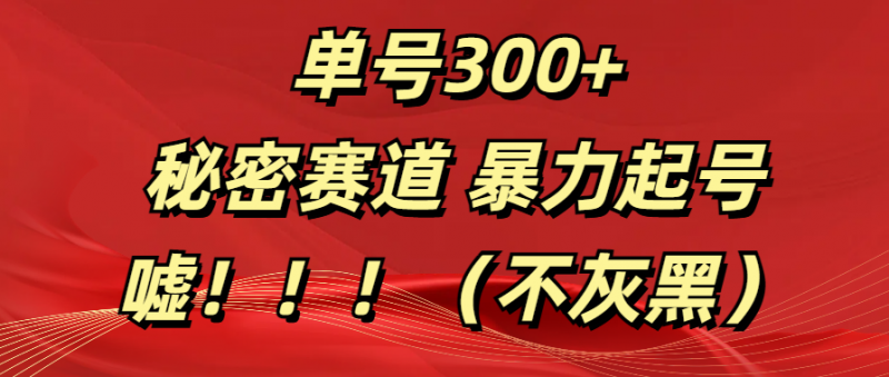 单号300+  秘密赛道 暴力起号  （不灰黑）副业网-副业赚钱-互联网创业-资源整合99副业网