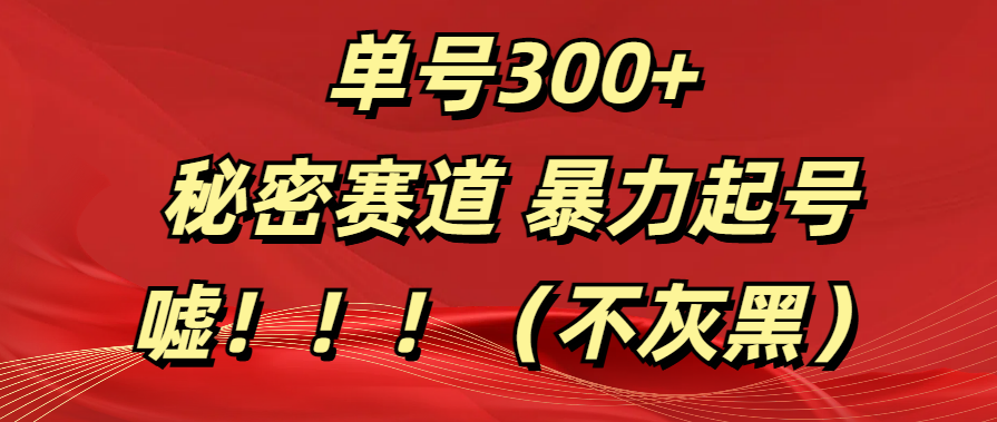 单号300+  秘密赛道 暴力起号  （不灰黑）副业网-副业赚钱-互联网创业-资源整合99副业网