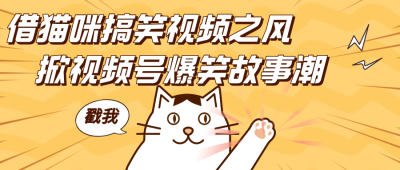 借猫咪搞笑视频之风，掀视频号爆笑故事潮，轻松日赚四位数，开启无门槛赚钱新体验！副业网-副业赚钱-互联网创业-资源整合99副业网