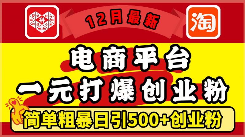 12月最新：电商平台1元打爆创业粉，简单粗暴日引500+精准创业粉，轻松月入5万+副业网-副业赚钱-互联网创业-资源整合99副业网