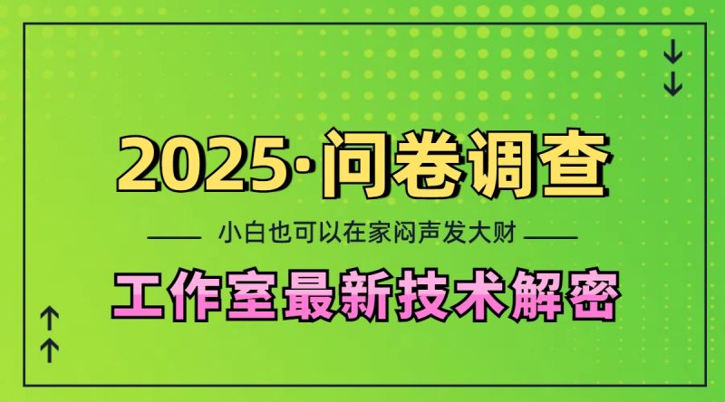 2025《问卷调查》最新工作室技术解密：一个人在家也可以闷声发大财，小白一天200+，可矩阵放大副业网-副业赚钱-互联网创业-资源整合99副业网