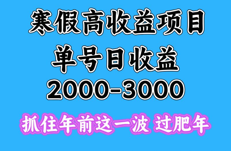 寒假期间一天收益2000-3000+，抓住年前这一波副业网-副业赚钱-互联网创业-资源整合99副业网