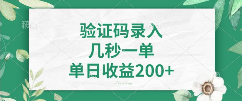 验证码录入，几秒一单，单日收益200+副业网-副业赚钱-互联网创业-资源整合99副业网