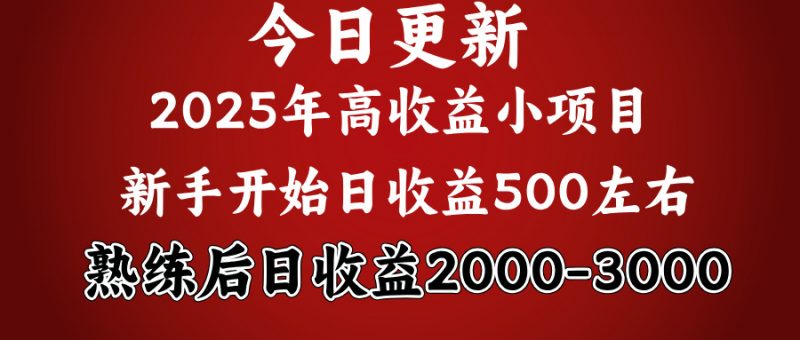好项目一眼就能看出来，日收益1000，长久可做，2025拼的就是我比你勤奋副业网-副业赚钱-互联网创业-资源整合99副业网