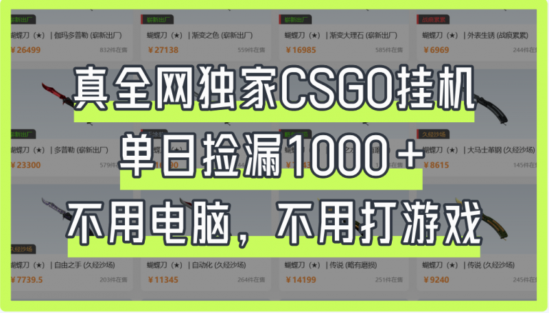 真全网独家CSGO挂机，单日捡漏1000+副业网-副业赚钱-互联网创业-资源整合99副业网